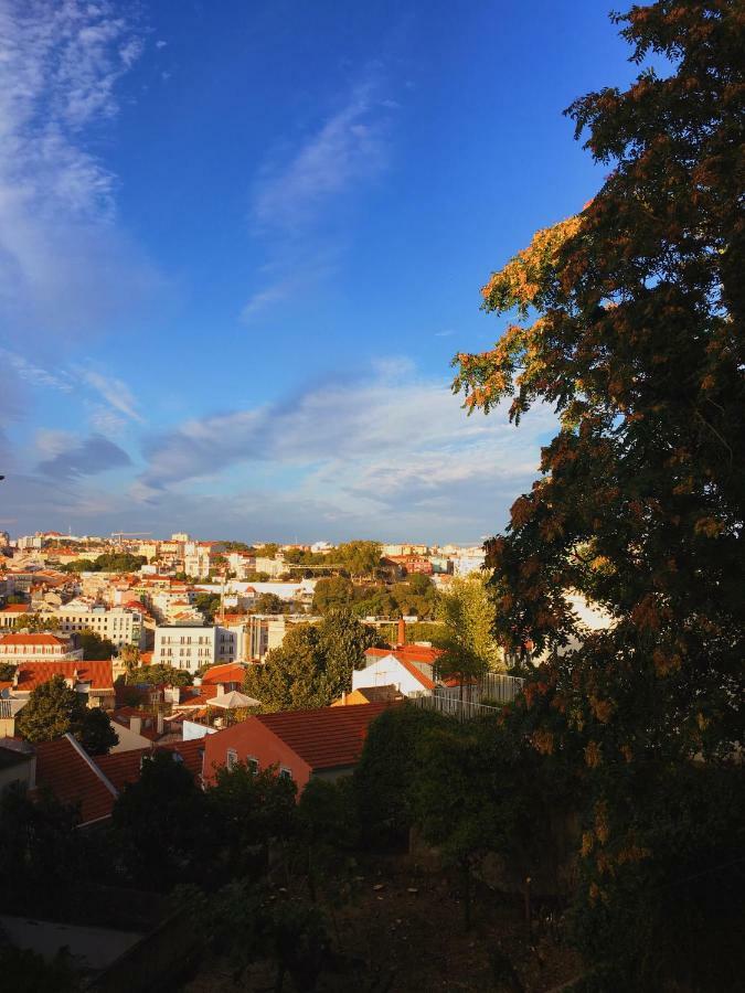 Charm Discovery Principe 7 Lisbon Exterior photo